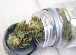 Votre CBD pas cher peut-il vraiment être le plus puissant ?